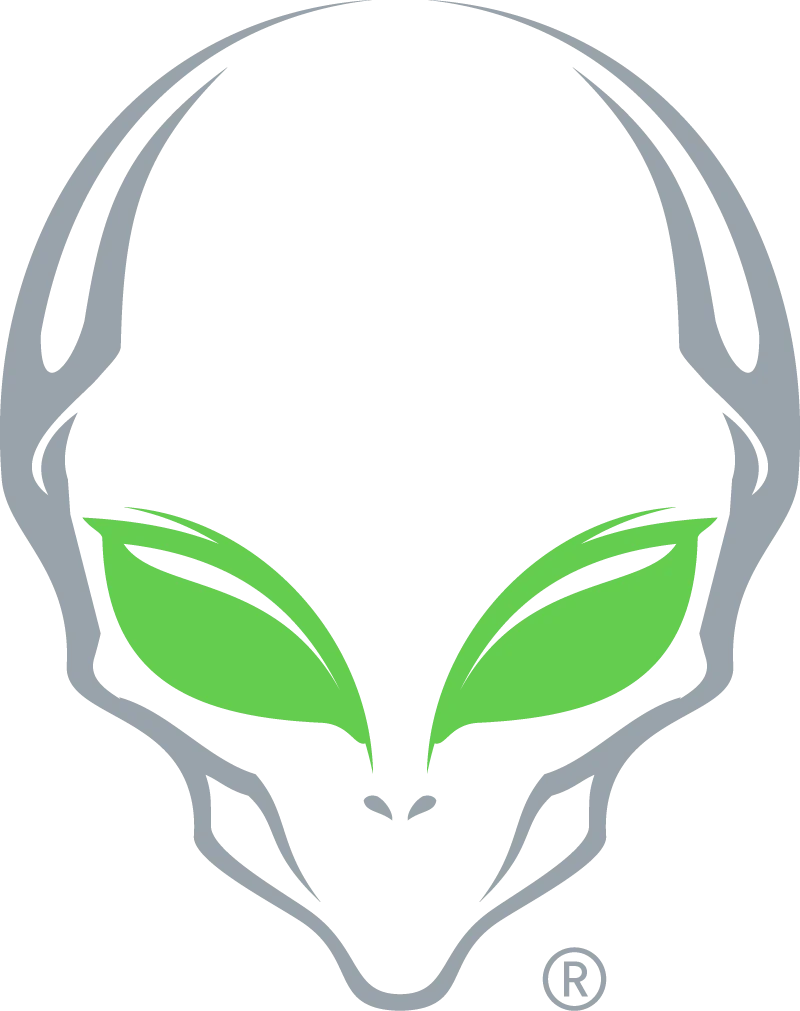 Alien Gear Holsters